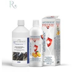   Arthropan (humán) narancs-mango  + Springer Actíve 500 (kutya) “Tartsunk lépést…”