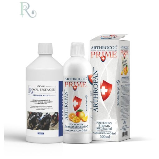 Arthropan (humán) narancs-mango  + Springer Actíve 500 (kutya) “Tartsunk lépést…”