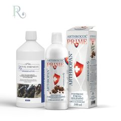   Arthropan (humán) ánizs  + Springer Actíve 500 (kutya) “Tartsunk lépést…”