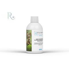 Springer általános izületvédő 300ml /Junior/