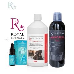 Idős kutyák vitalitás csomag