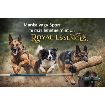 Sport-és munkakutyák táplálékkiegészítői