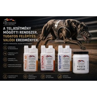 Greyhound Extreme 