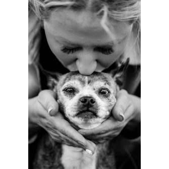 Idős kutyák táplálékkiegészítői